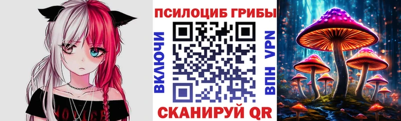 продажа наркотиков  мега   Галлюциногенные грибы мицелий  Бор 